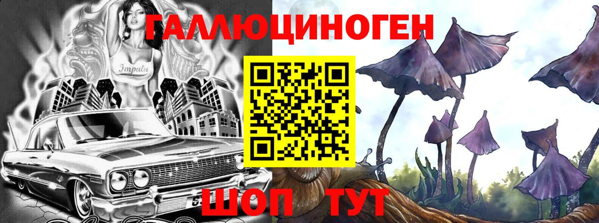 Кемерово  Псилоцибиновые грибы Cubensis  Вход с VPN 