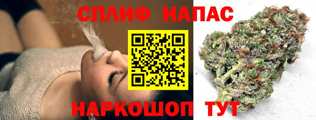 Шишки марихуана семена Кемерово